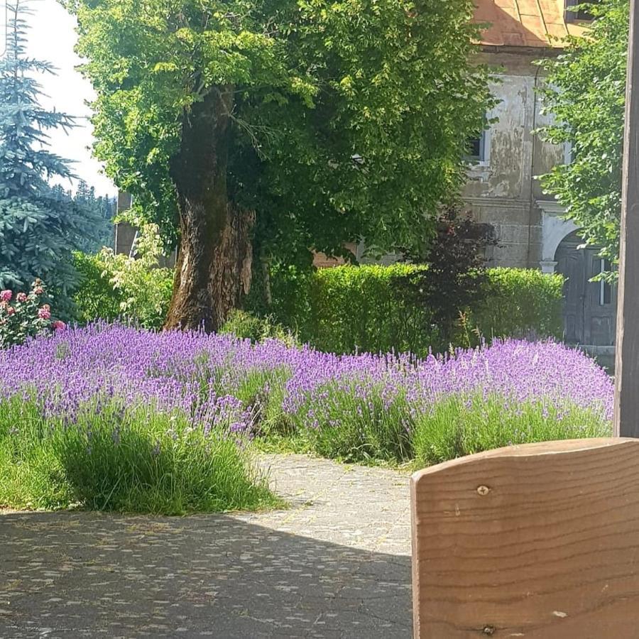 Hotel Fuzinarska Kuca Fužine Zewnętrze zdjęcie